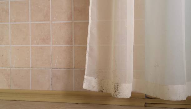 Best Residential Mold Inspection & Testing  in Williston Highlands, FL