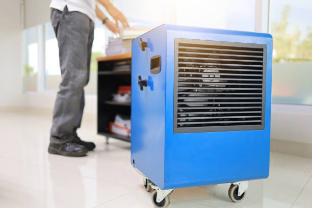 Best Mold-Related Health Consultation  in Williston Highlands, FL